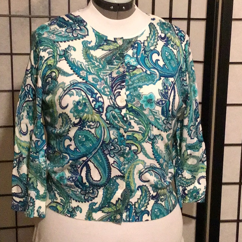 Cardigan sweater
